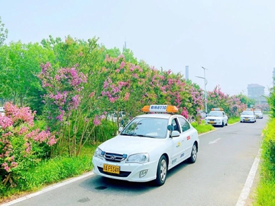 新學員做好這幾個步驟,逢考必過