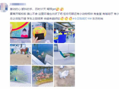 北京東方時(shí)尚駕校好嗎?